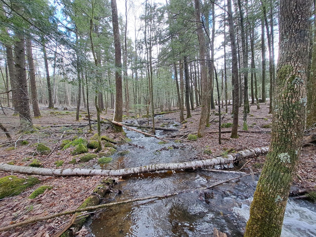 Listing Image 50