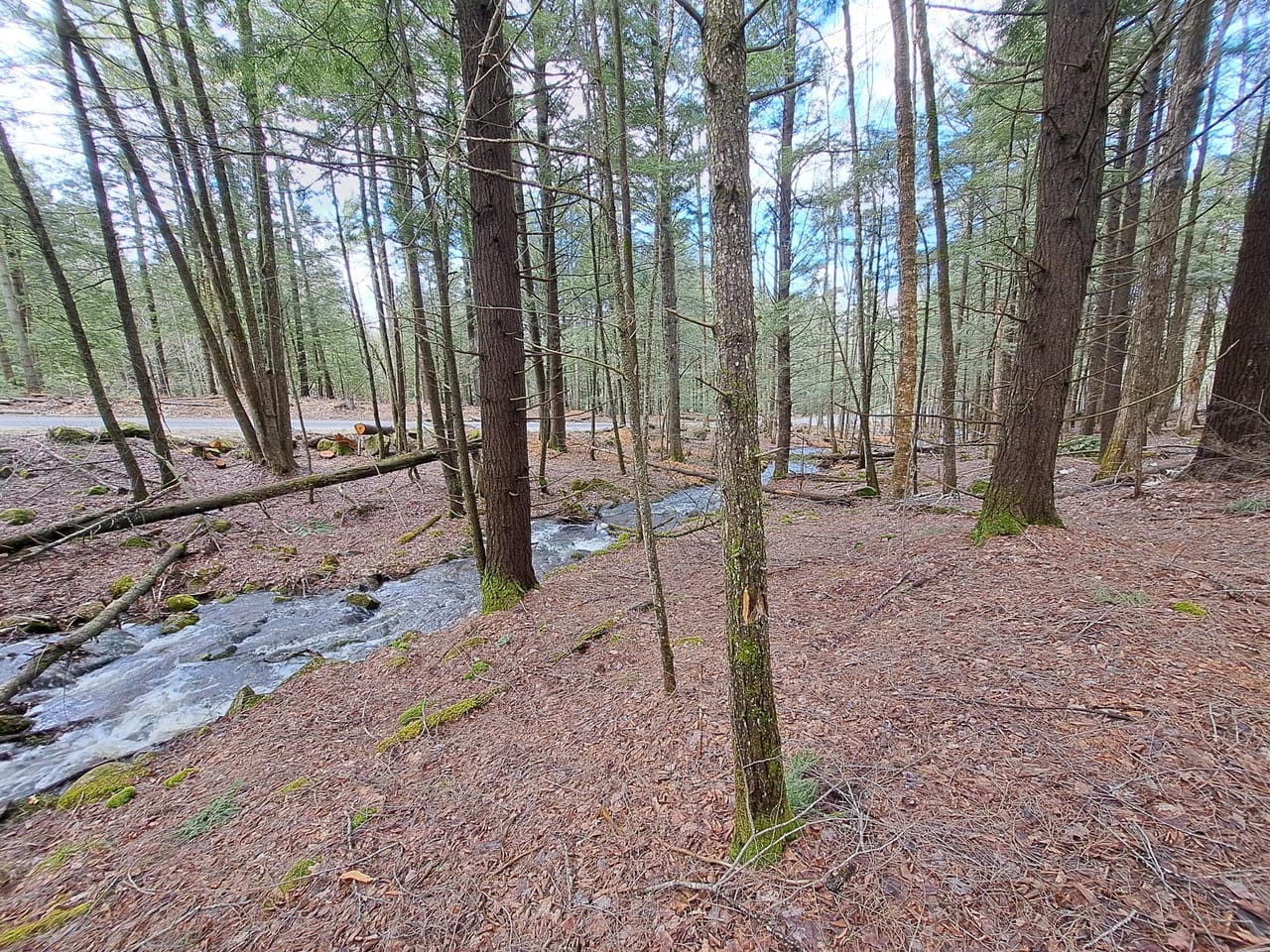 Listing Image 51