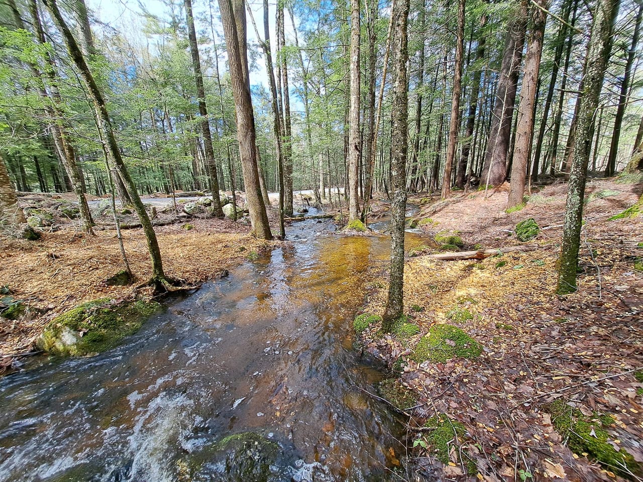 Listing Image 55