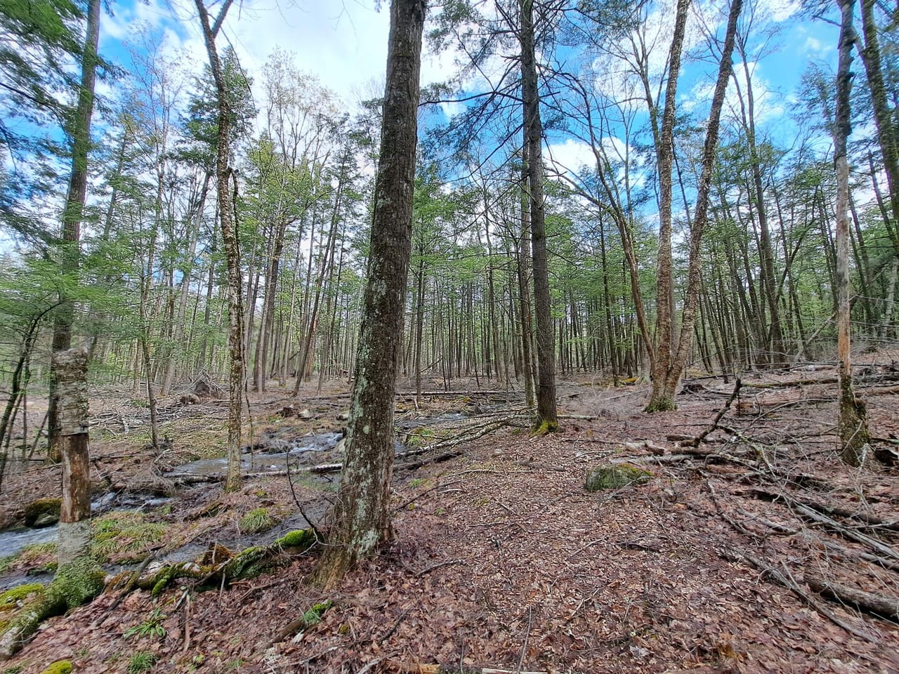 Listing Image 59