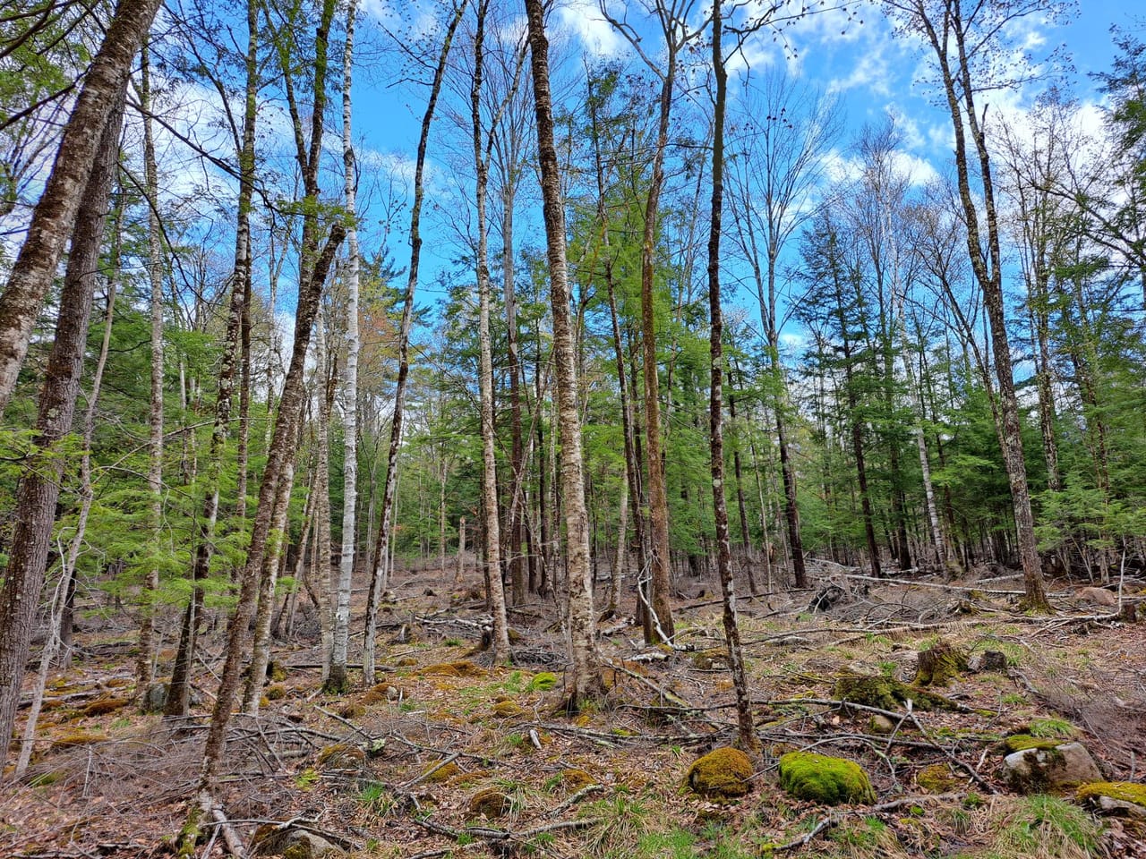 Listing Image 65