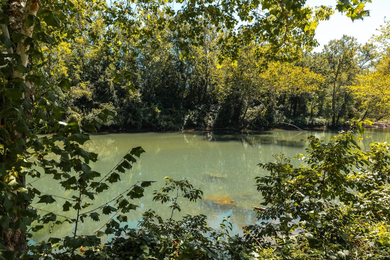 Listing Image 12