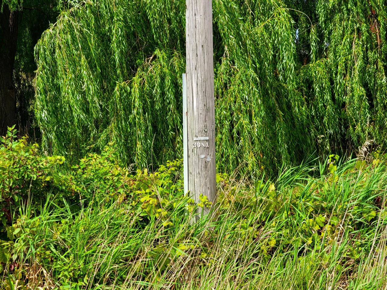 Listing Image 71