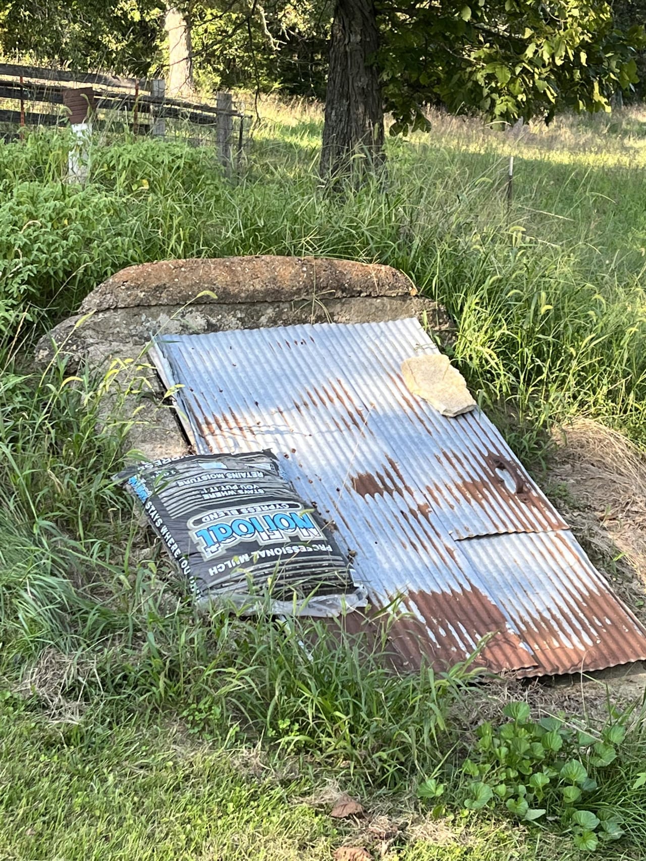 Listing Image 7