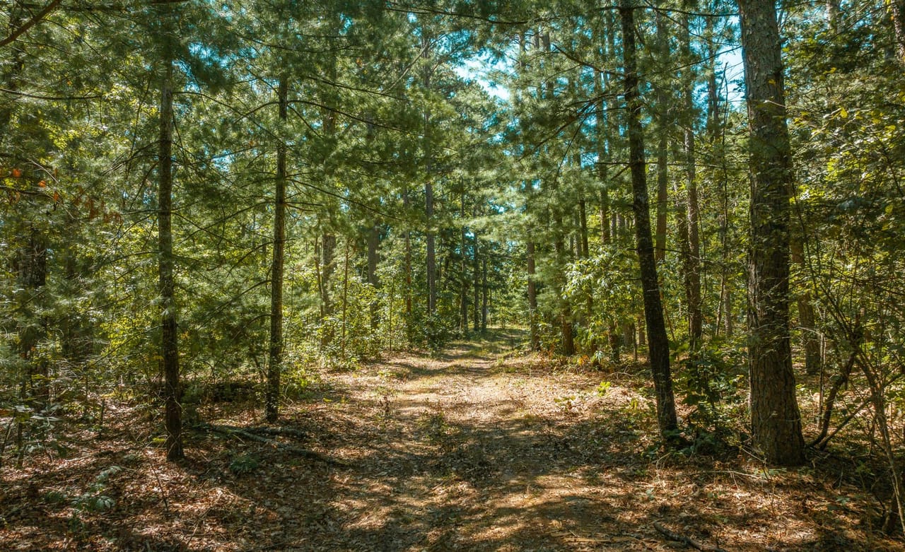 Listing Image 42