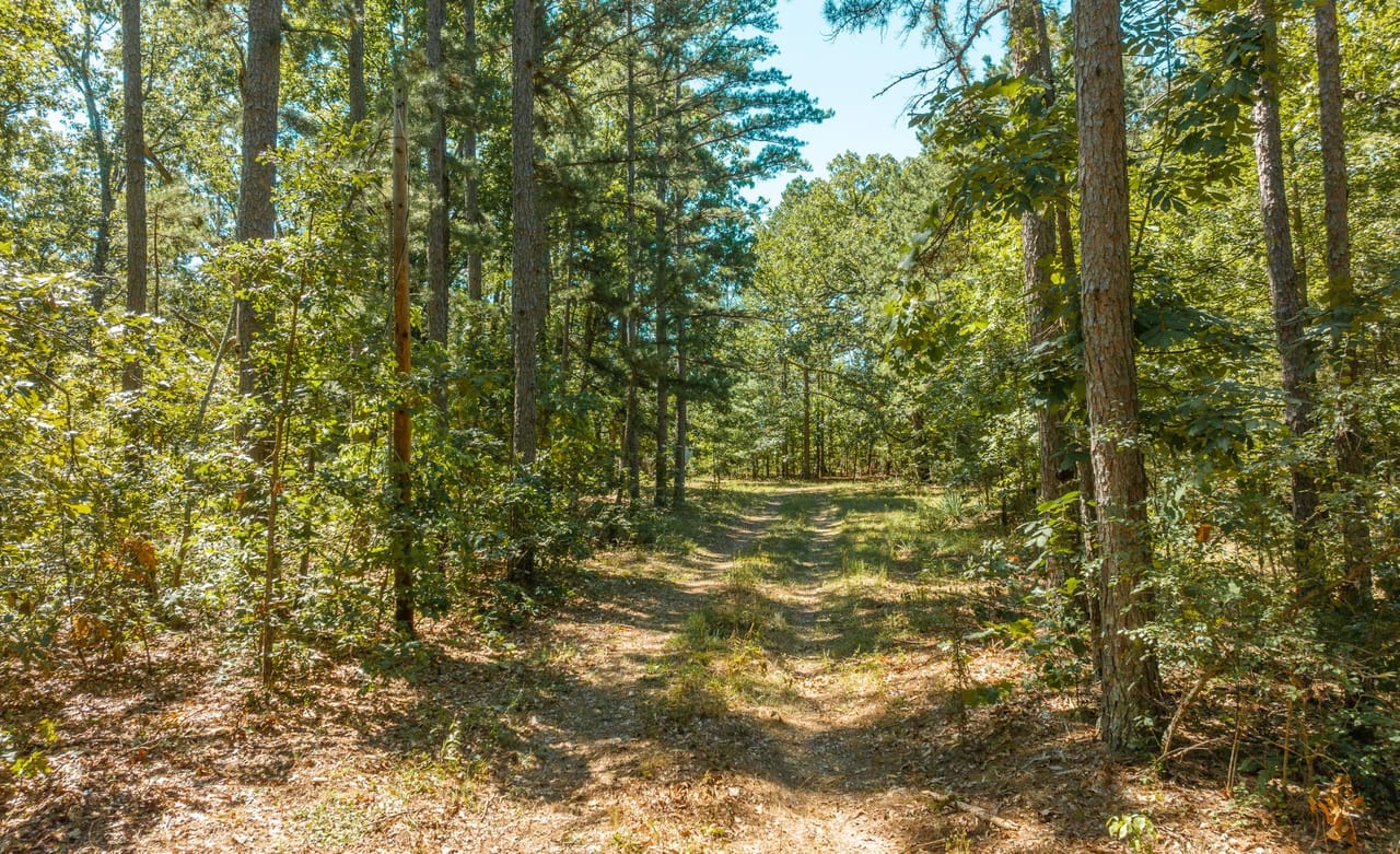 Listing Image 43