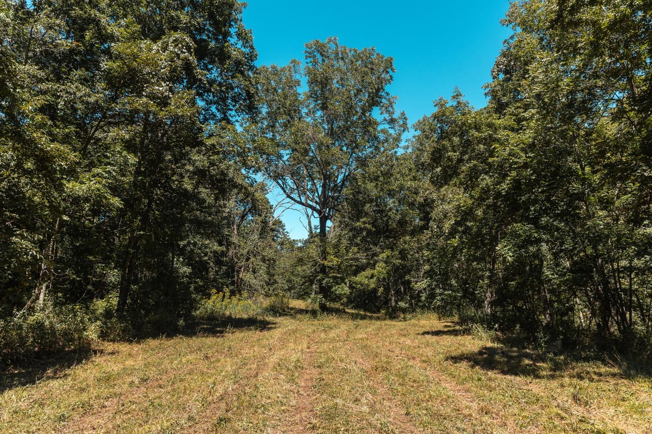 Listing Image 44