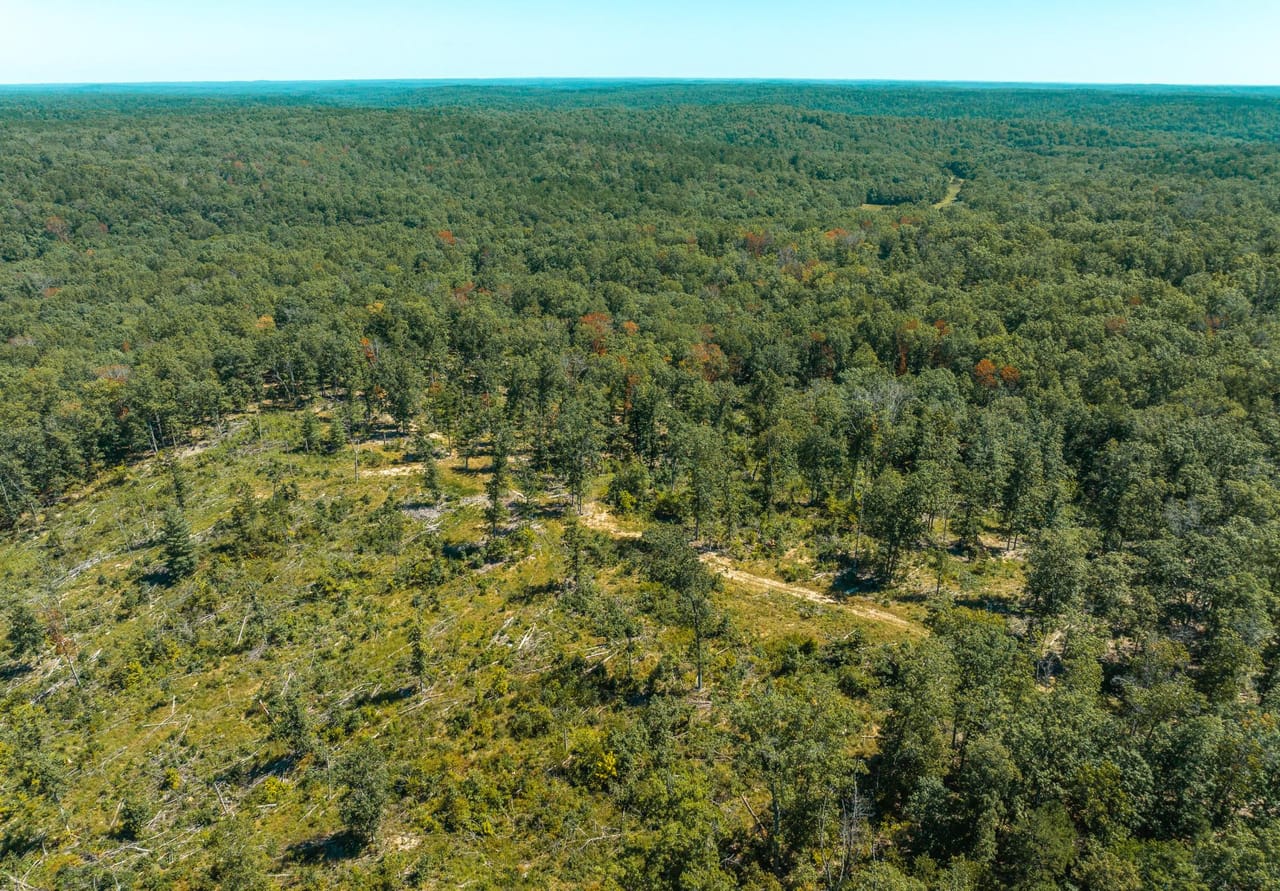 Listing Image 57