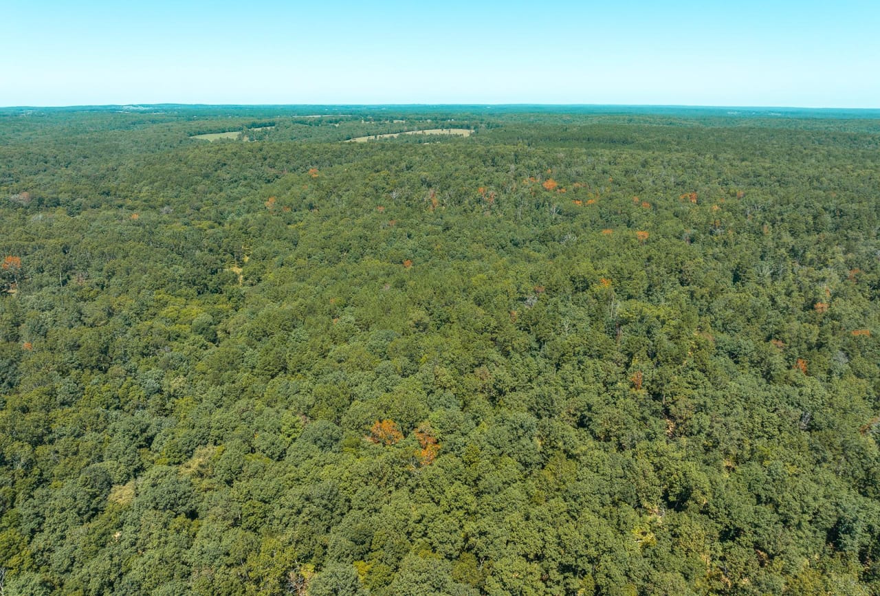 Listing Image 64