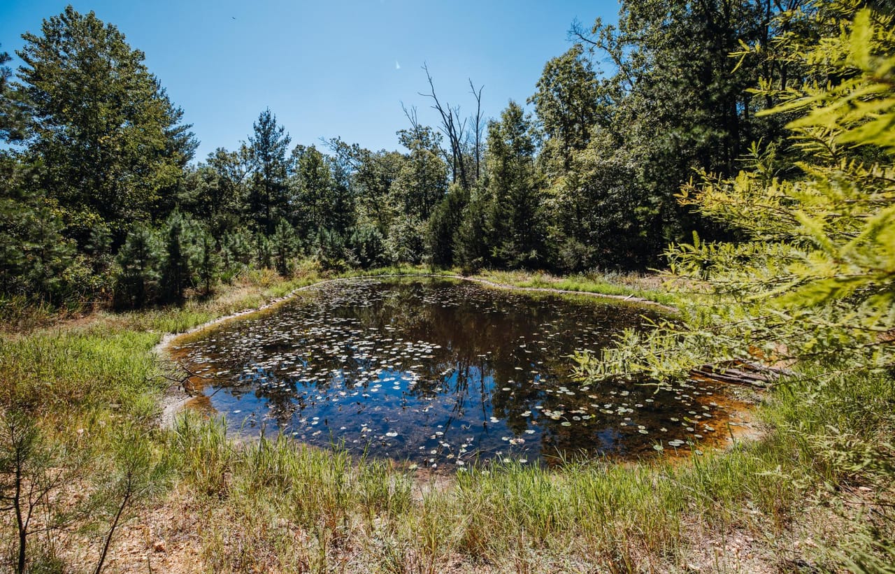 Listing Image 65