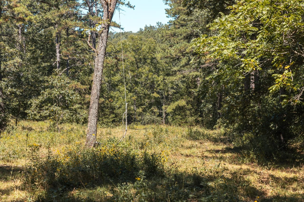 Listing Image 71