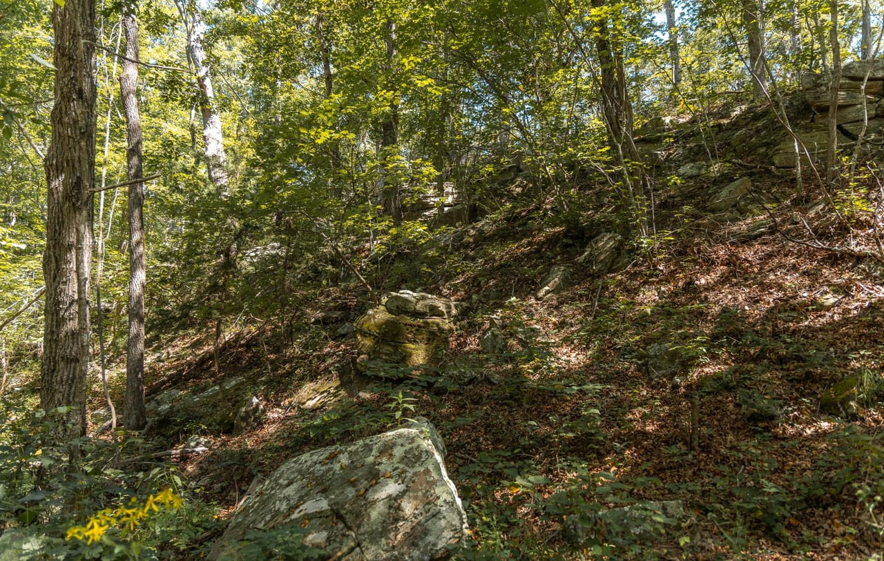 Listing Image 72