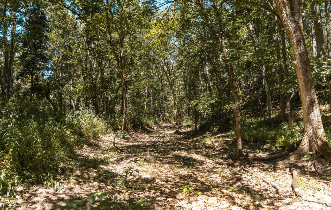Listing Image 73