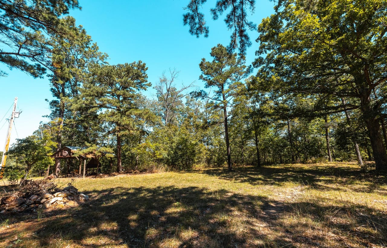 Listing Image 75