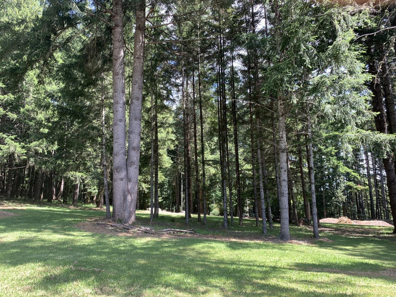 Listing Image 78