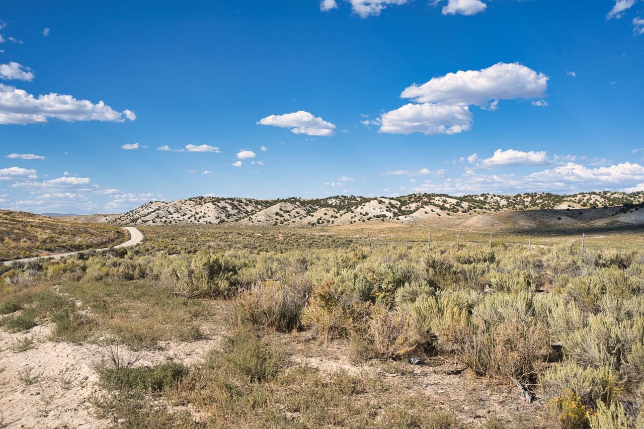 Listing Image 18