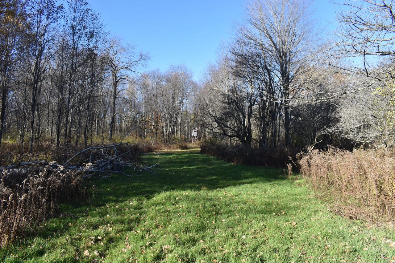 Listing Image 69