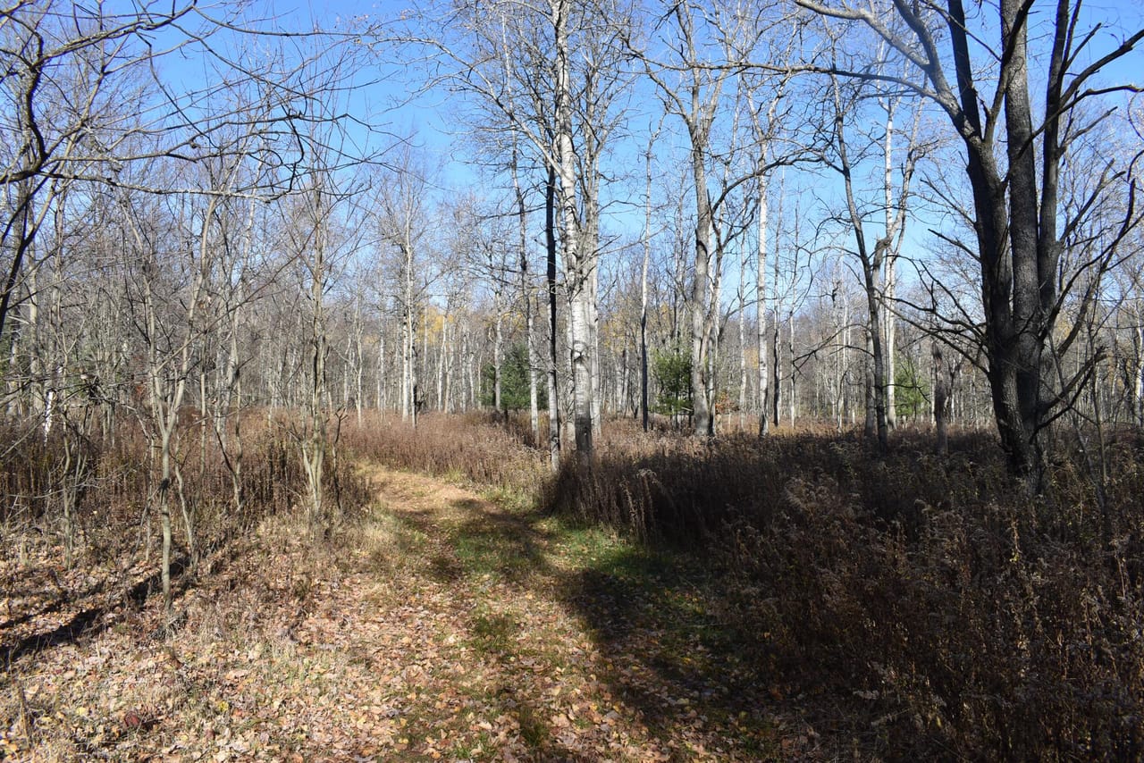 Listing Image 74