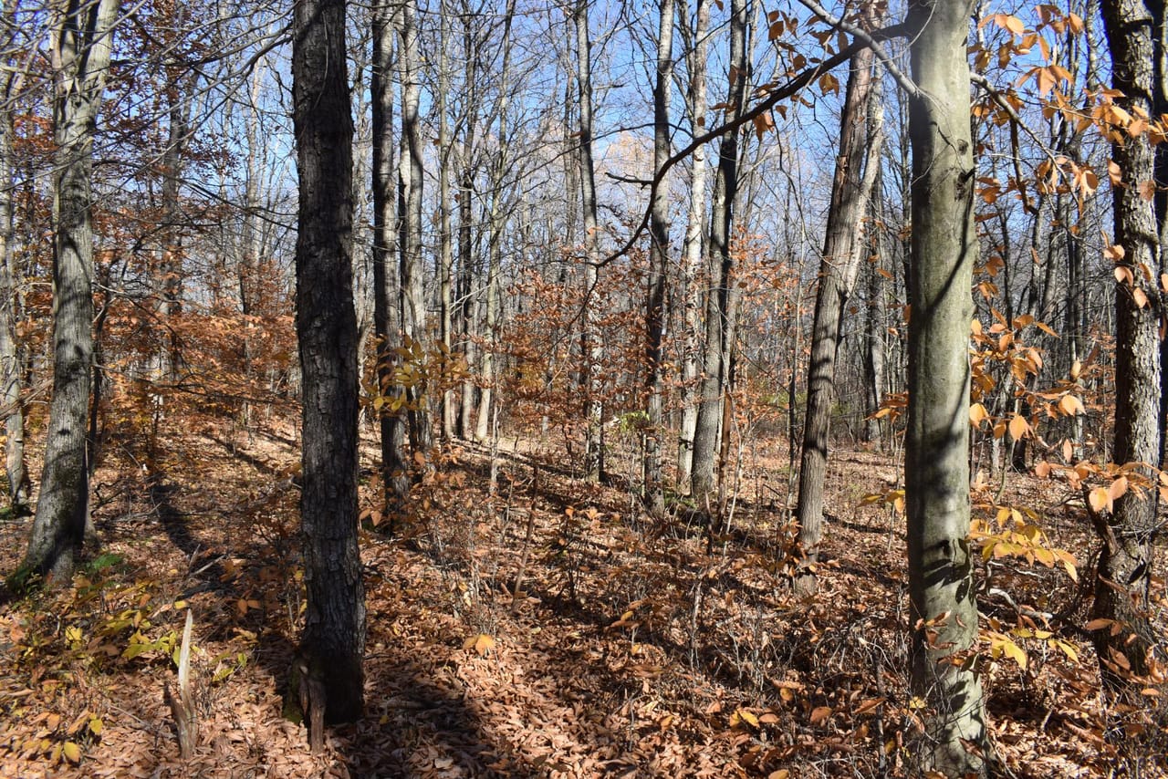 Listing Image 8
