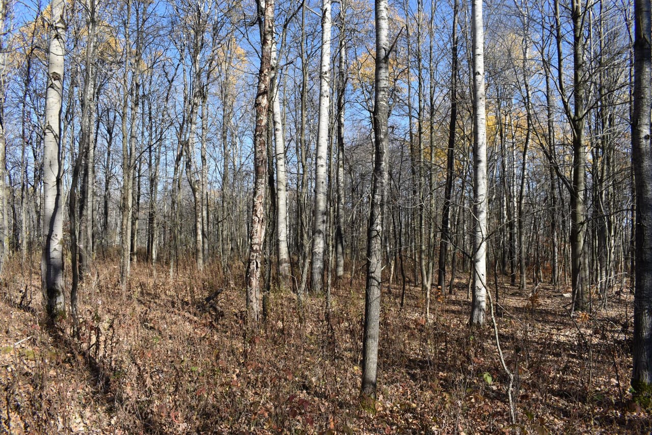 Listing Image 45