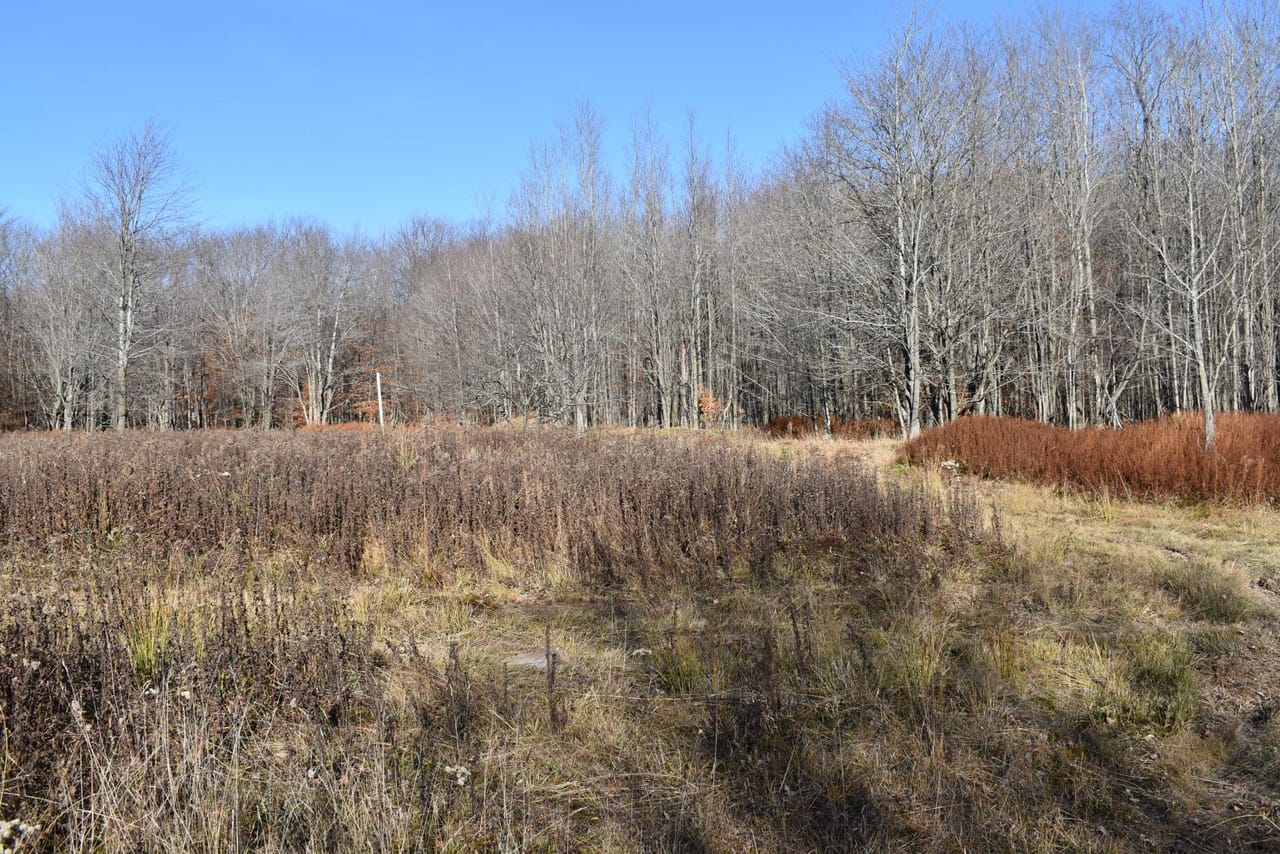 Listing Image 52