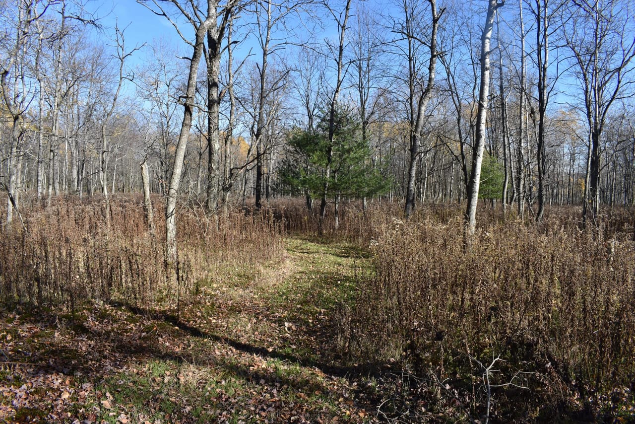 Listing Image 72
