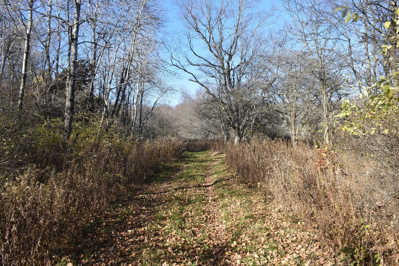 Listing Image 75