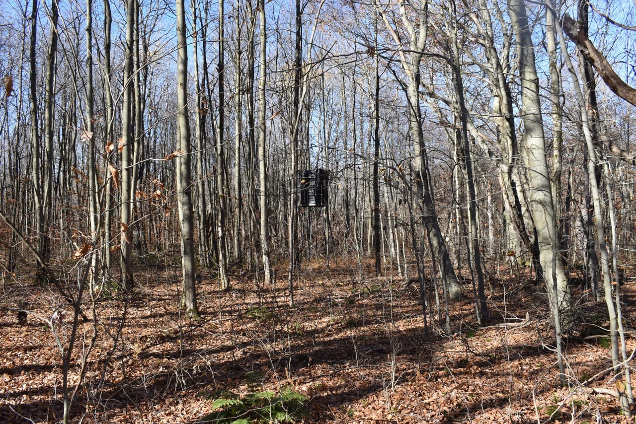 Listing Image 13