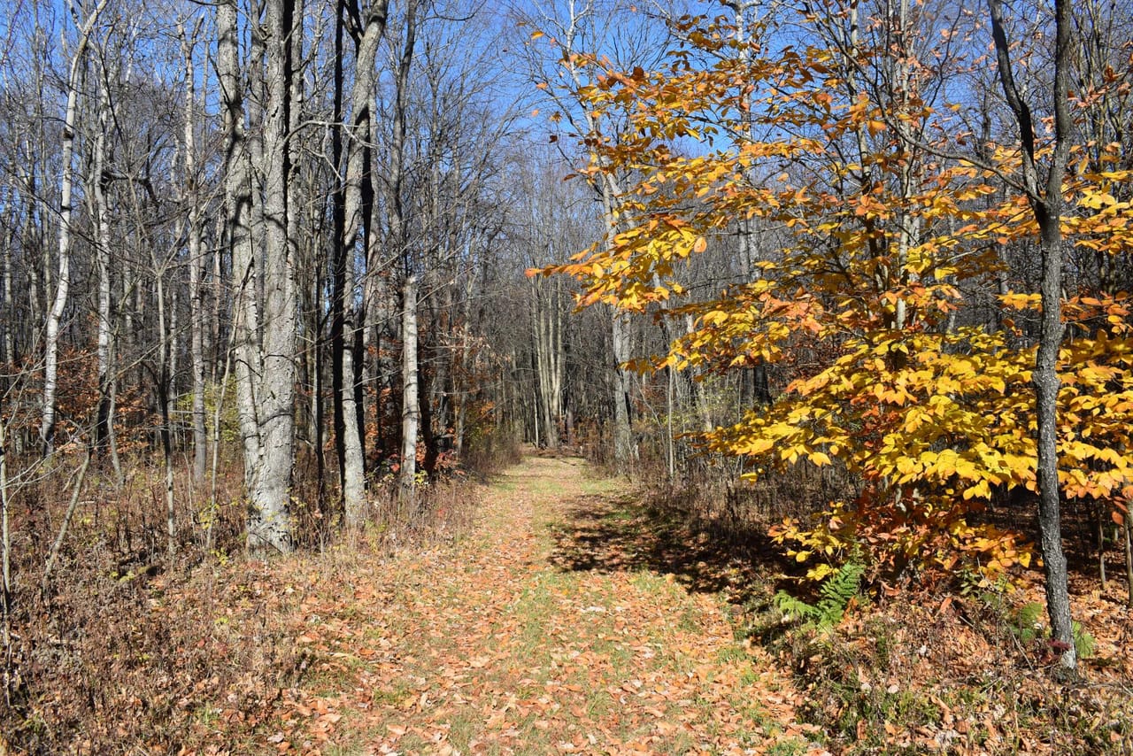 Listing Image 17