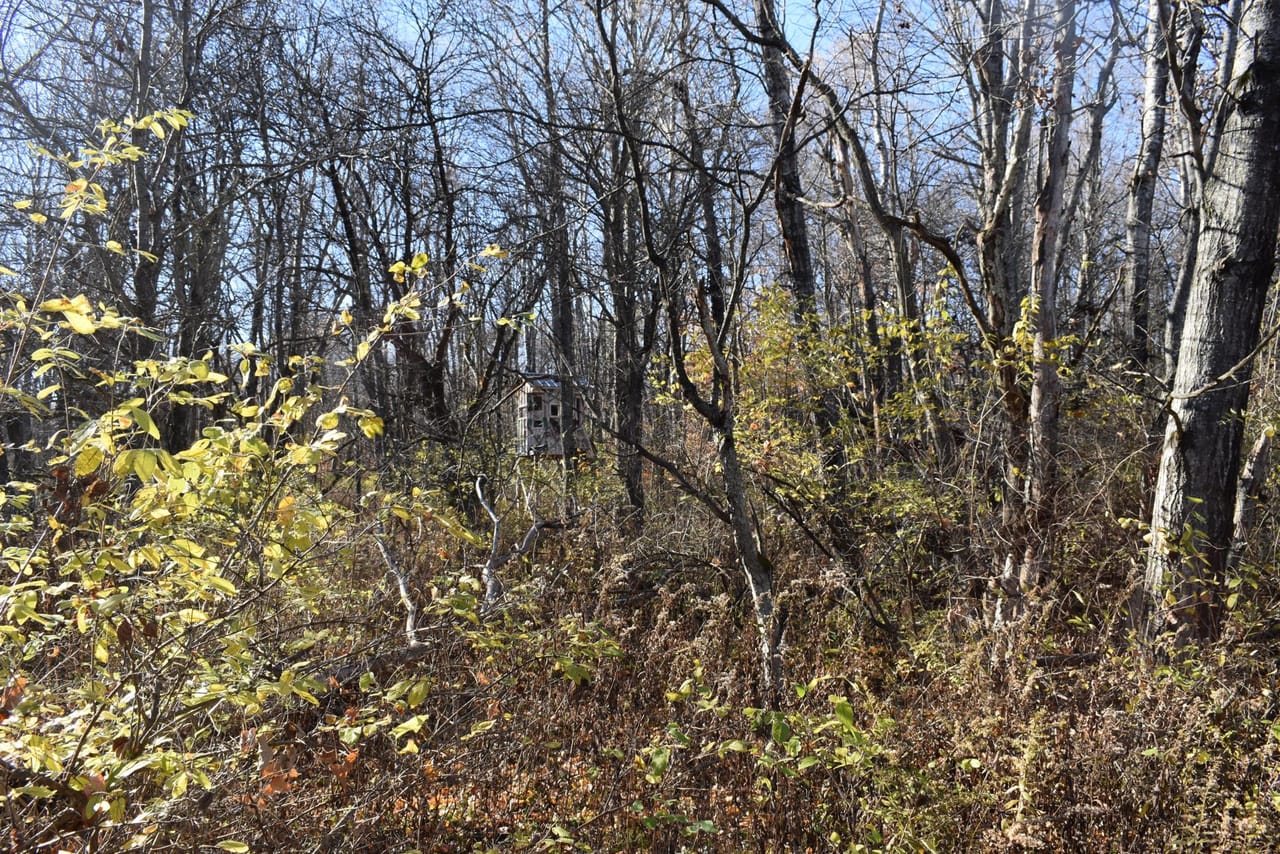 Listing Image 22