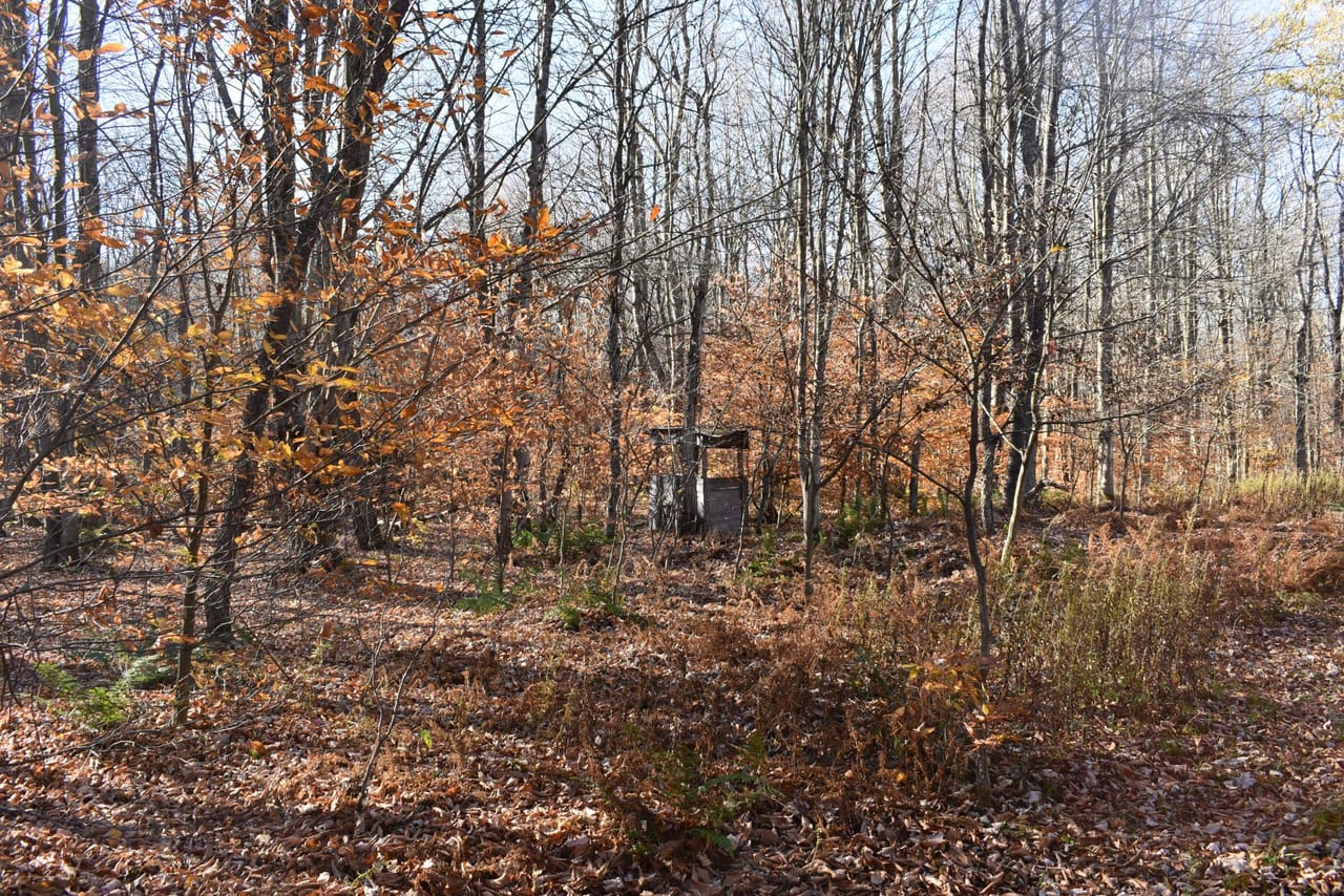 Listing Image 23