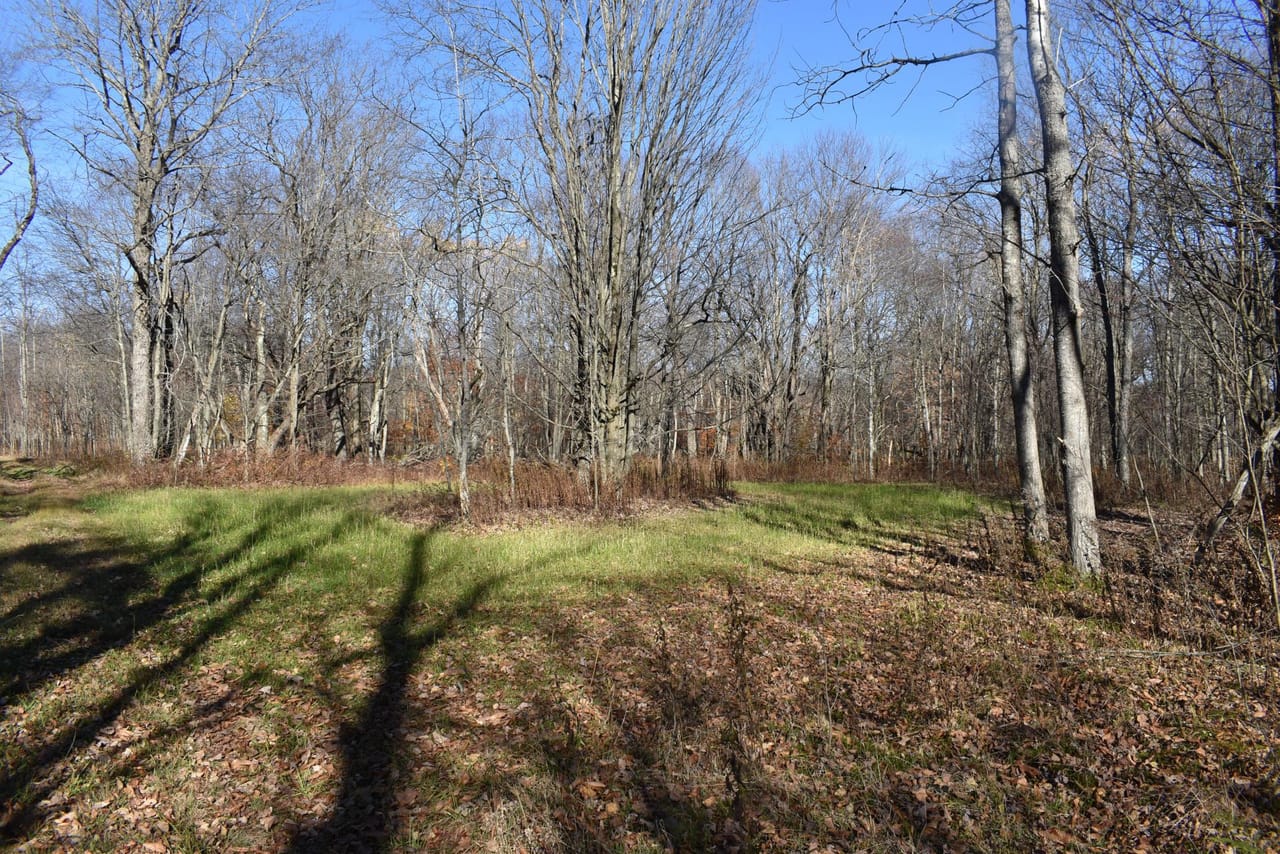 Listing Image 31