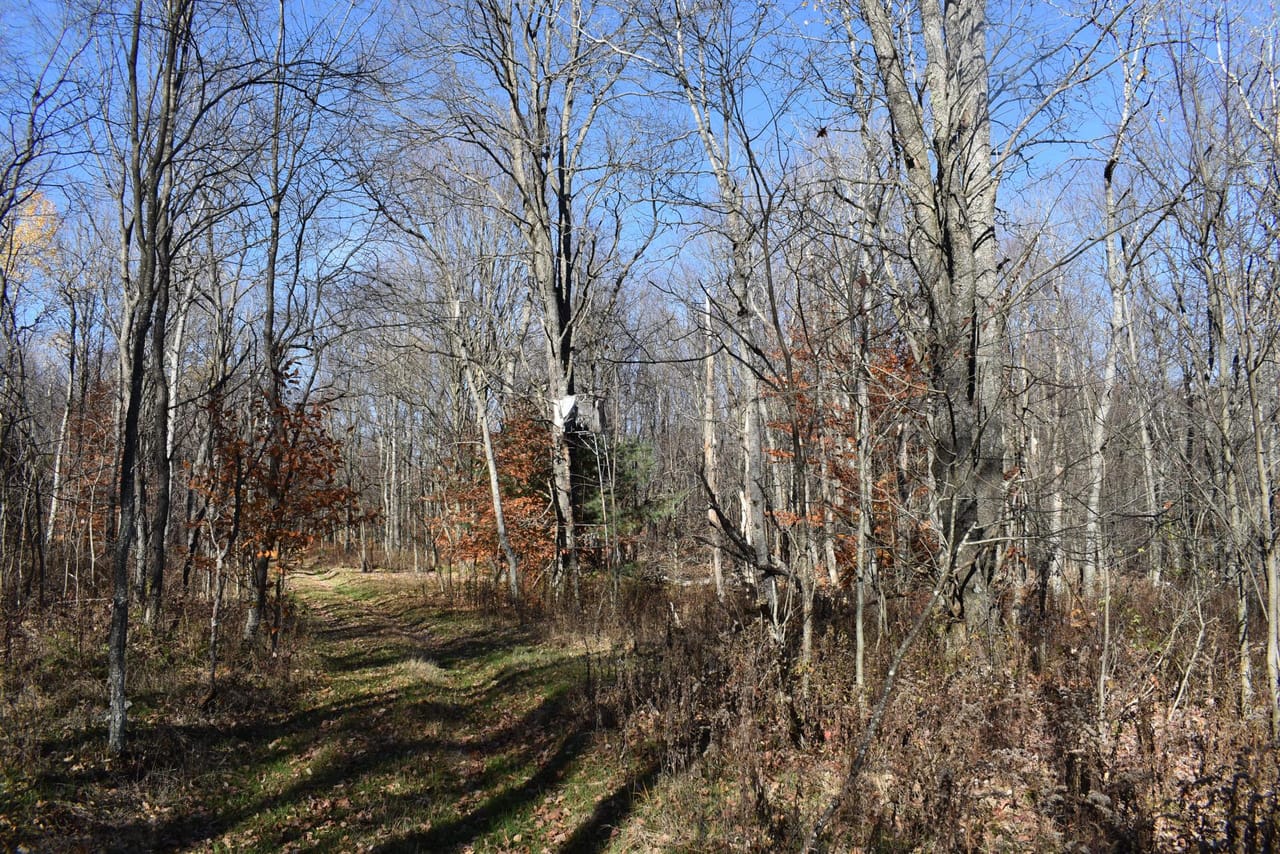 Listing Image 35