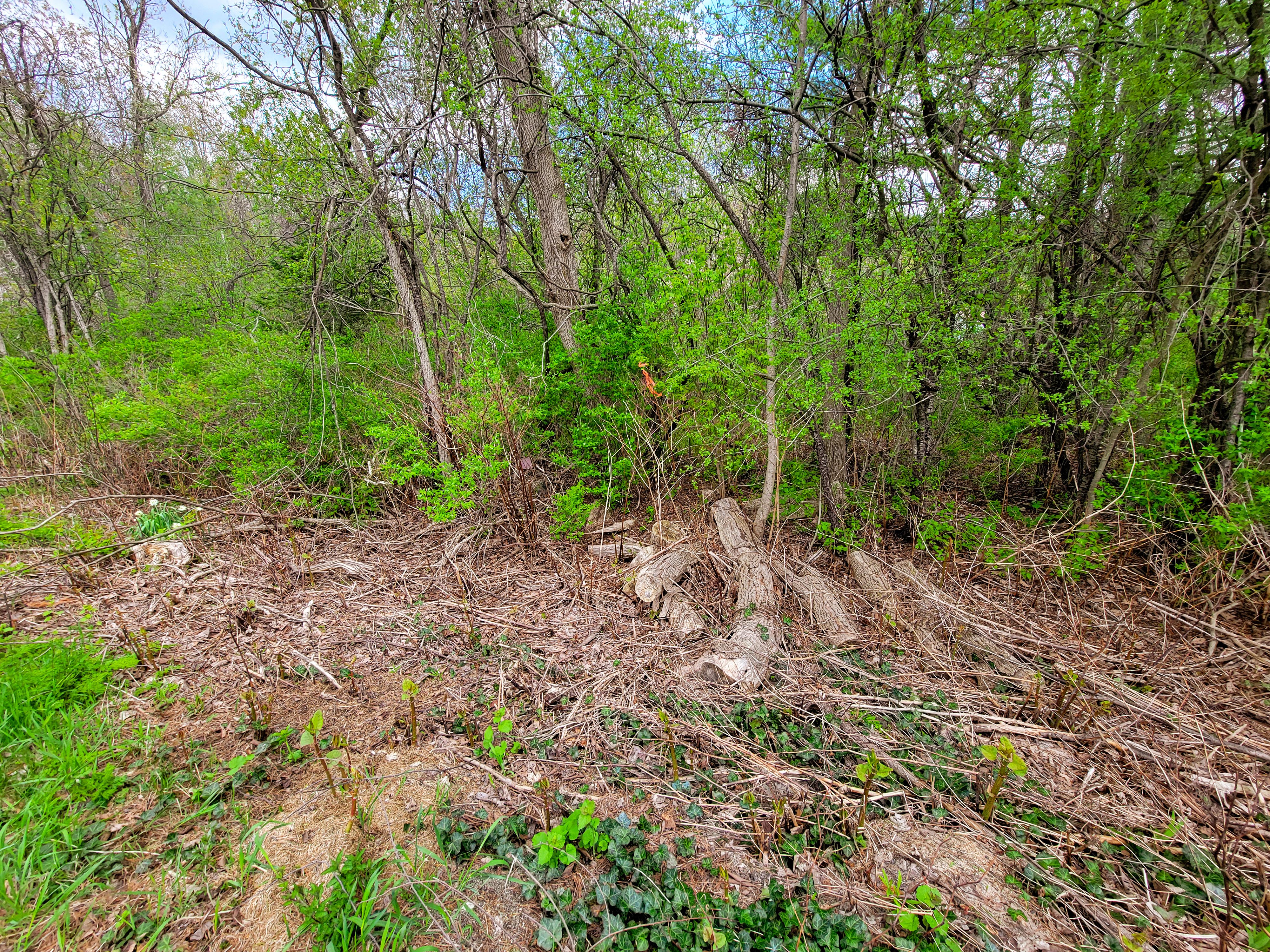 Listing Image 24