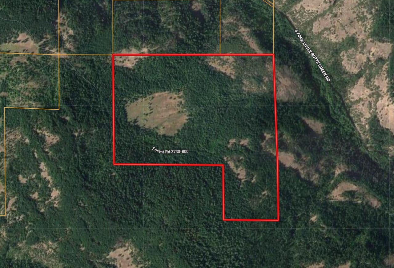 Listing Image 18