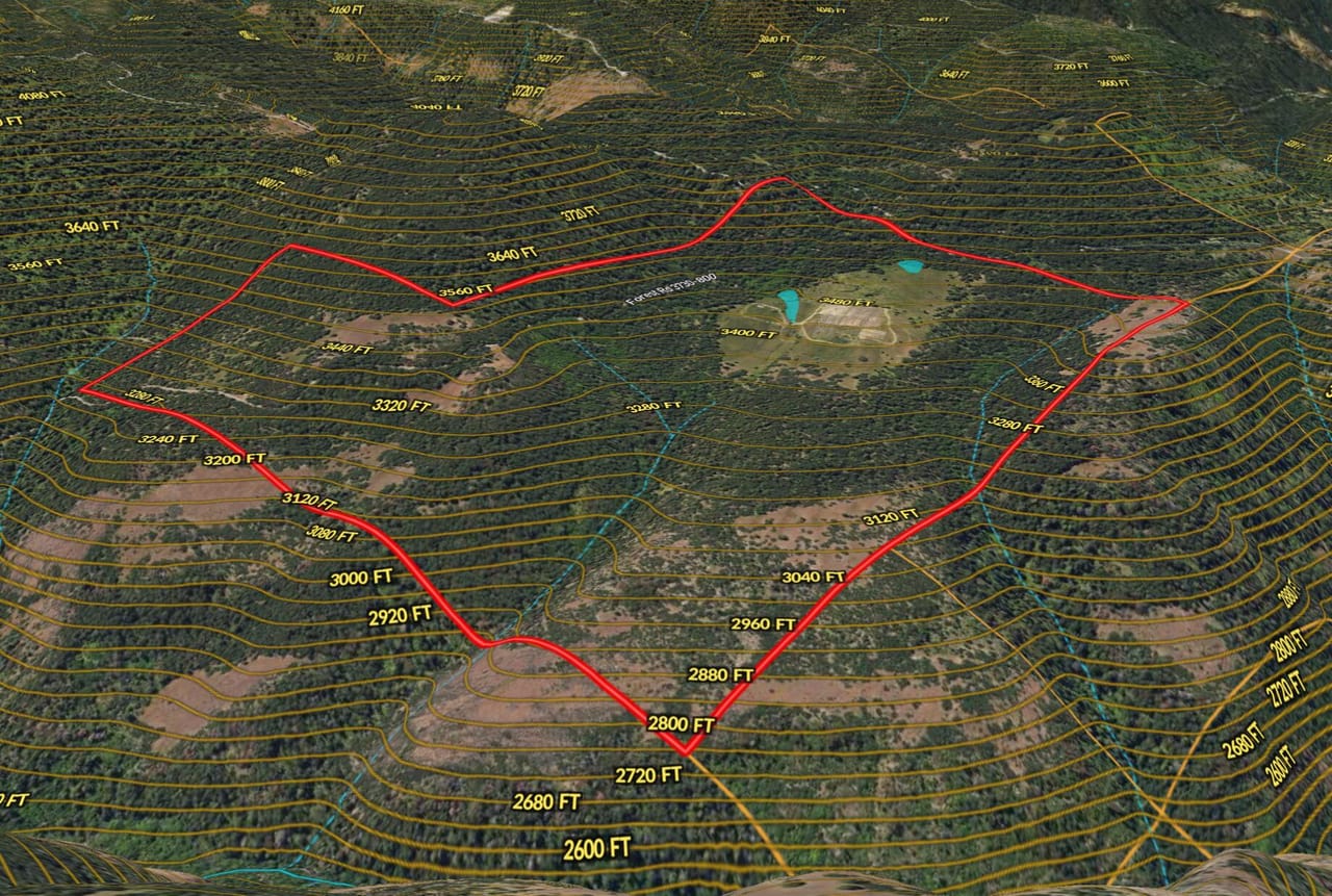 Listing Image 29