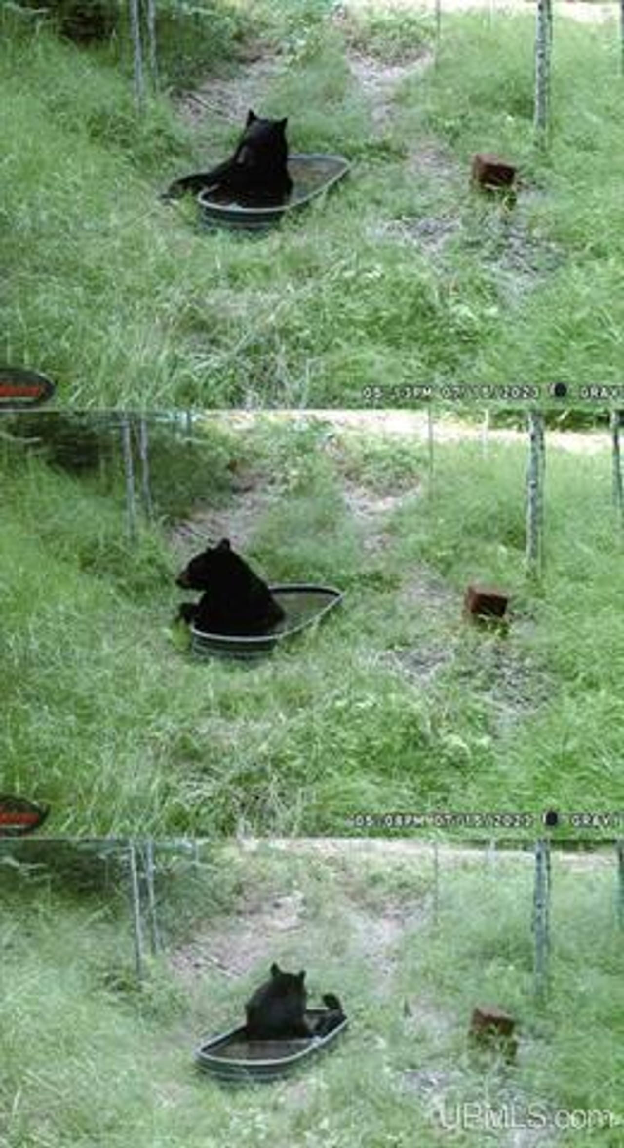 Listing Image 56