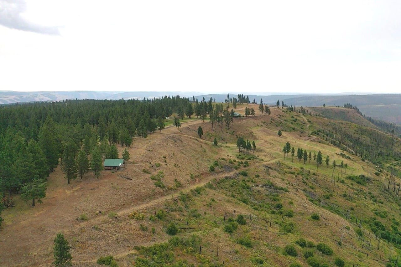 Listing Image 29