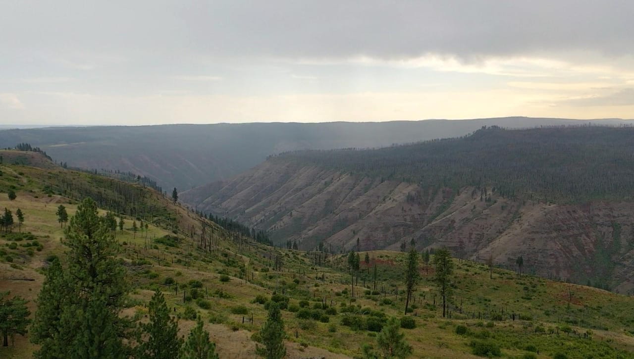 Listing Image 8