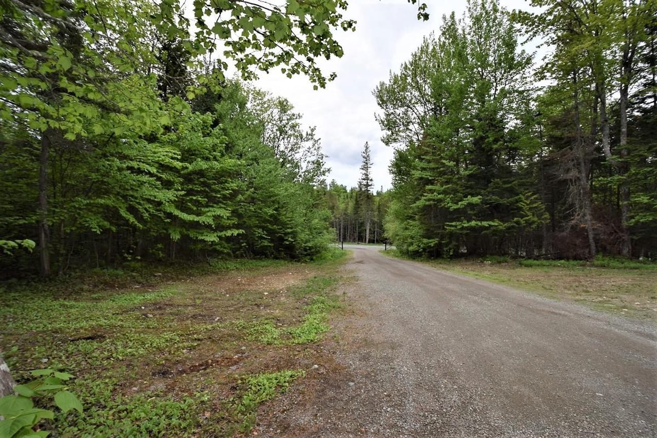Listing Image 133