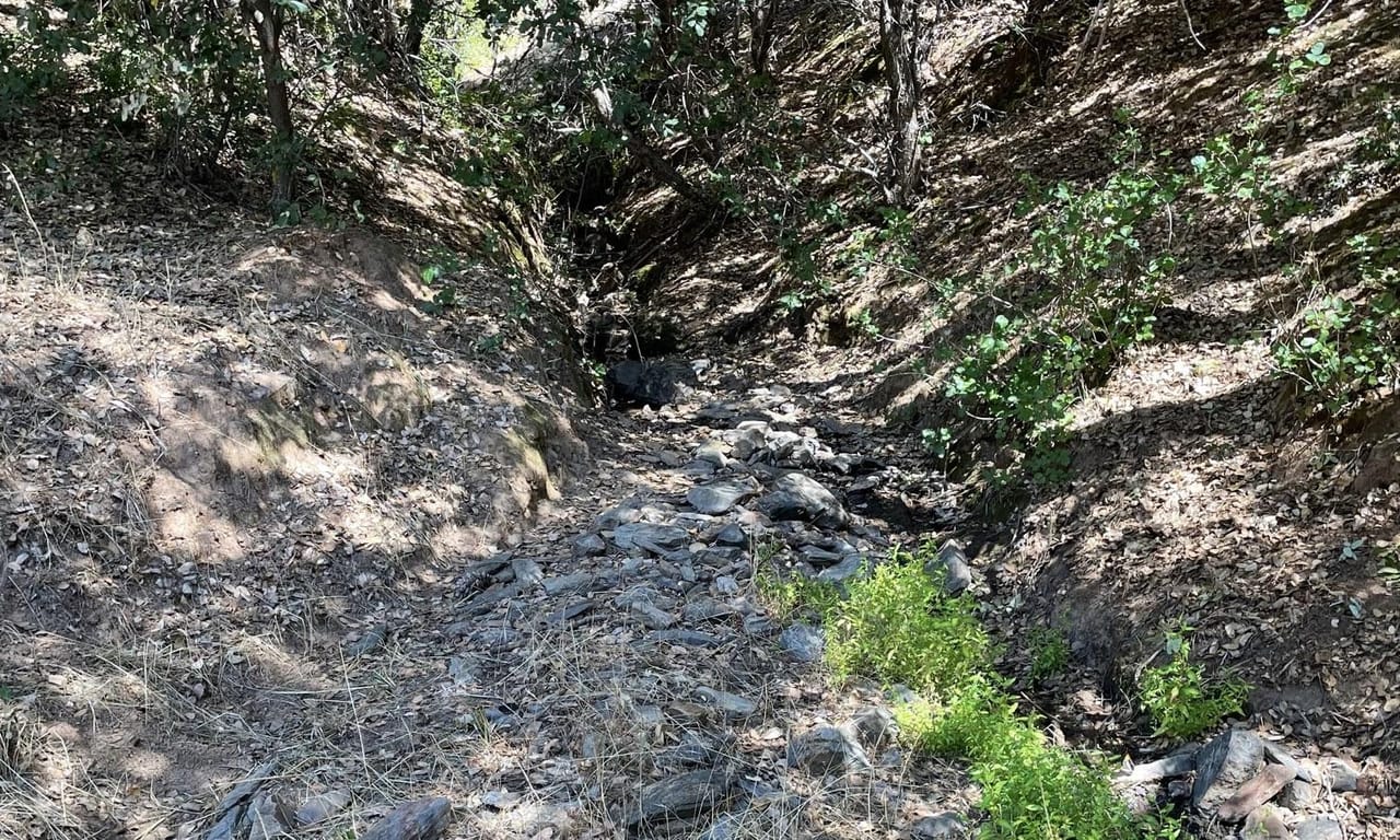 Listing Image 14