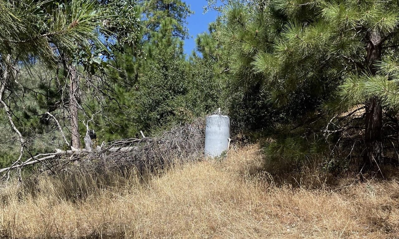 Listing Image 25