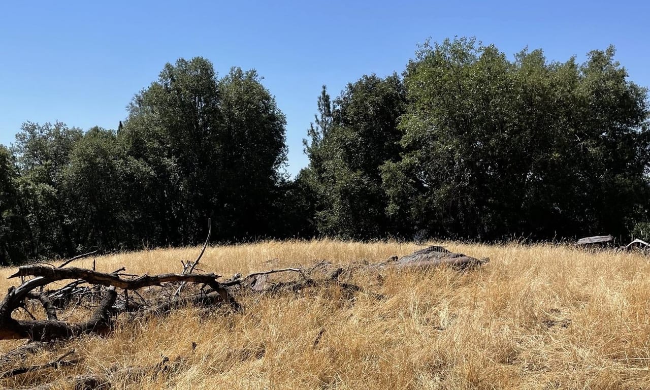 Listing Image 39