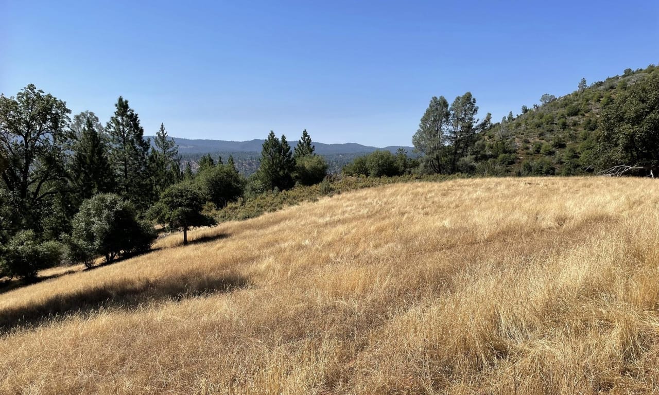Listing Image 42