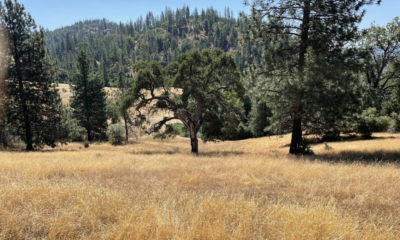 Listing Image 45