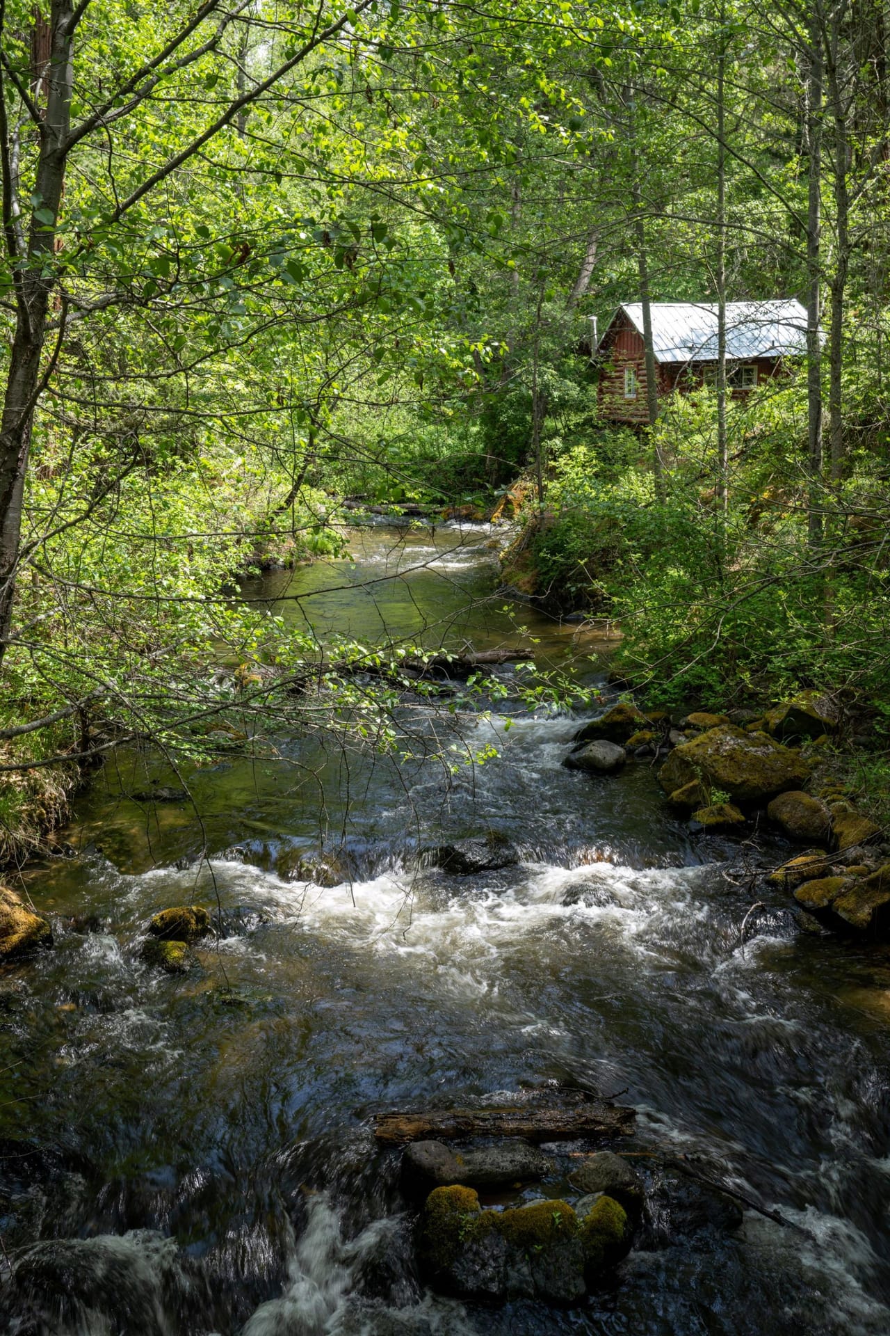 Listing Image 1