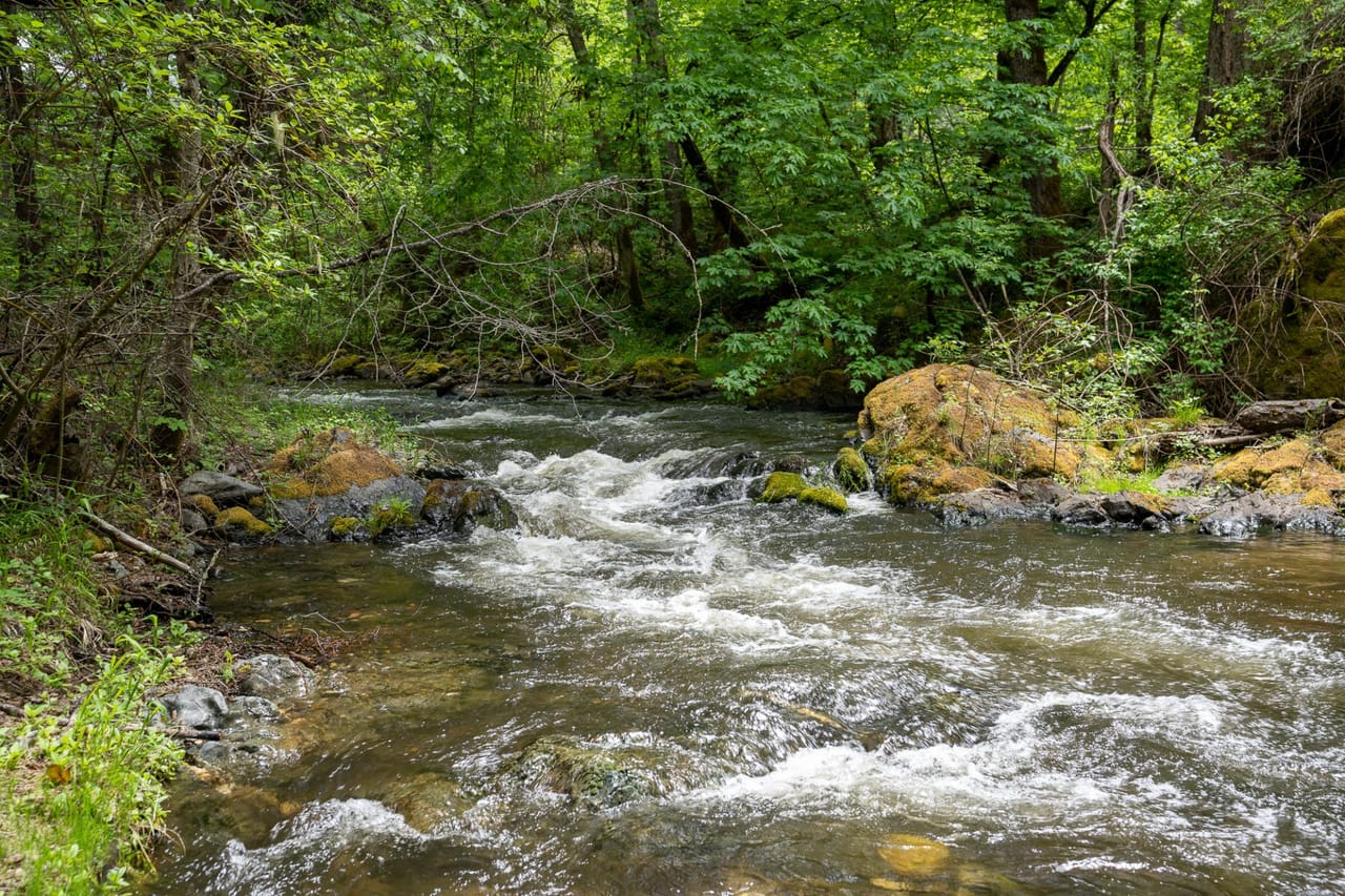 Listing Image 80