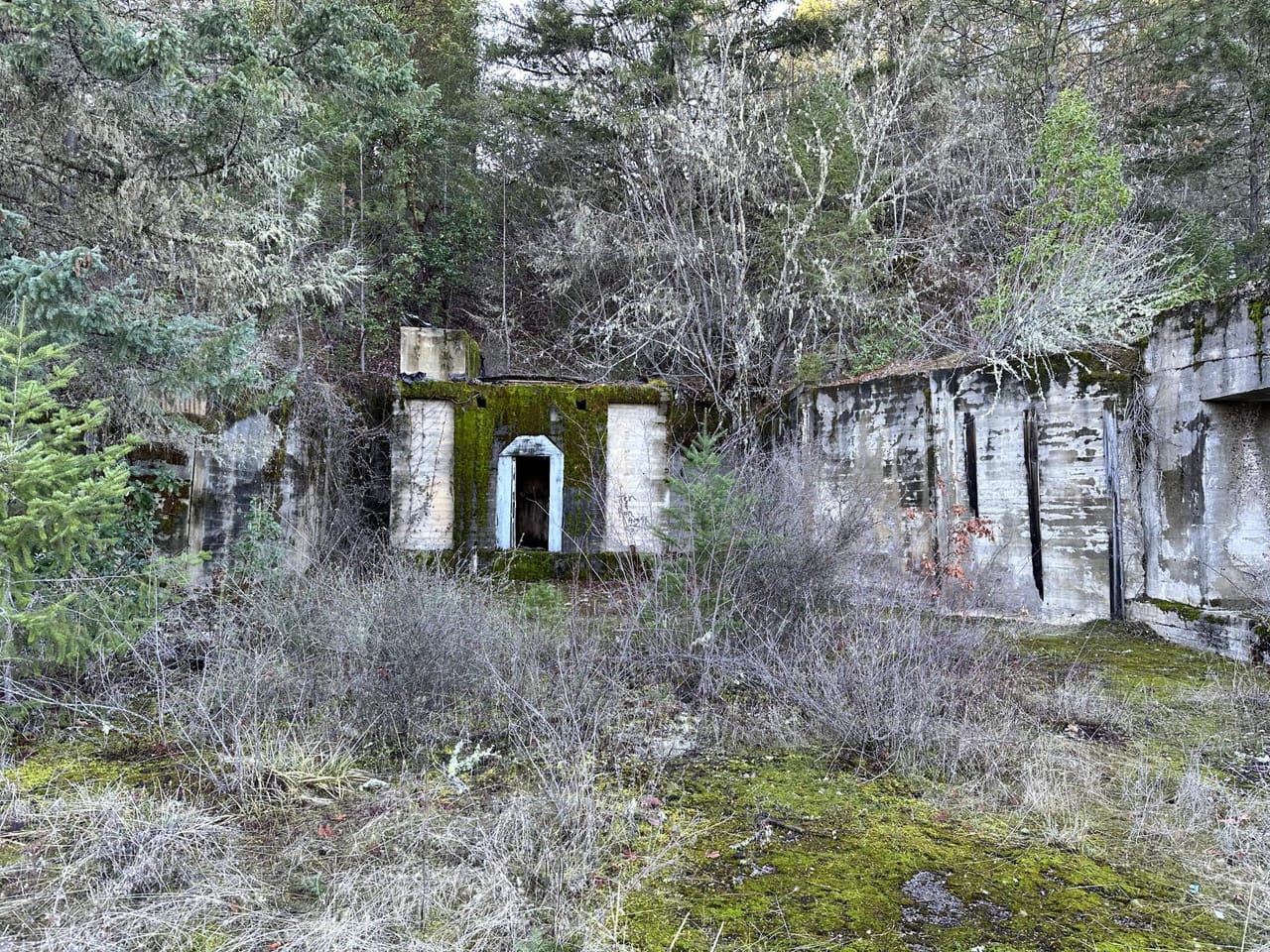 Listing Image 13