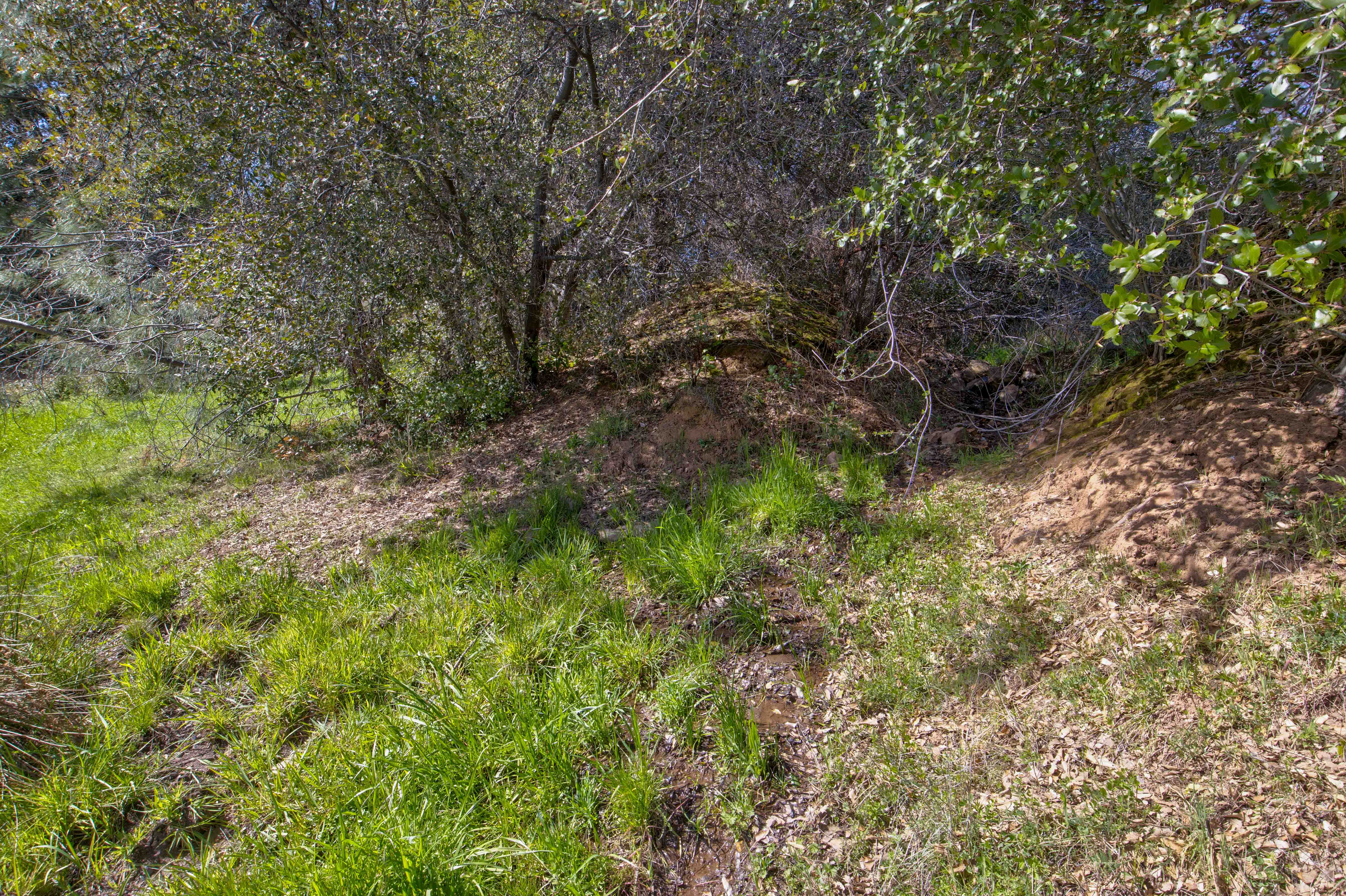 Listing Image 28