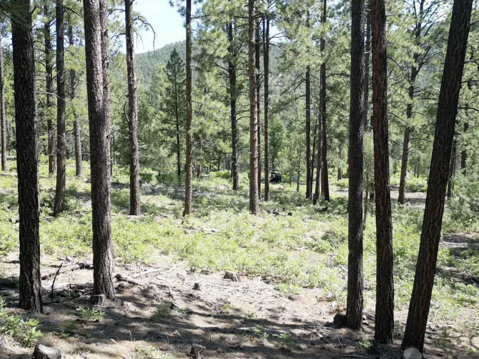 Listing Image 17